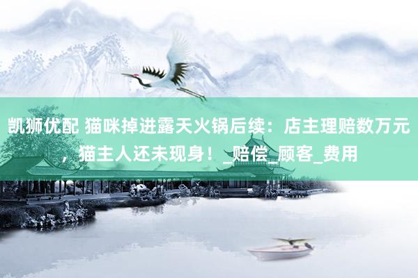 凯狮优配 猫咪掉进露天火锅后续：店主理赔数万元，猫主人还未现身！_赔偿_顾客_费用