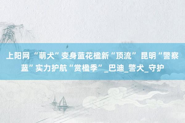 上阳网 “萌犬”变身蓝花楹新“顶流” 昆明“警察蓝”实力护航“赏楹季”_巴迪_警犬_守护