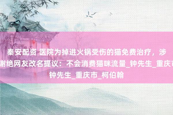 秦安配资 医院为掉进火锅受伤的猫免费治疗，涉事火锅店谢绝网友改名提议：不会消费猫咪流量_钟先生_重庆市_柯伯翰