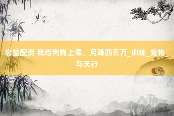 宏益配资 我给狗狗上课，月赚四五万_训练_宠物_马天行