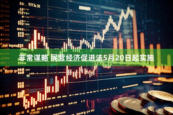 非常谋略 民营经济促进法5月20日起实施