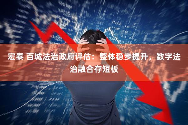 宏泰 百城法治政府评估：整体稳步提升，数字法治融合存短板