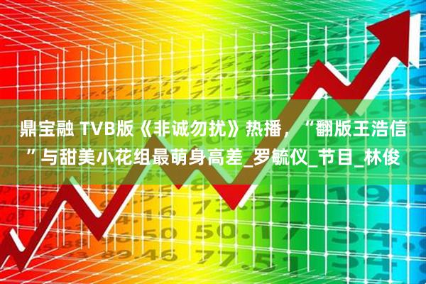 鼎宝融 TVB版《非诚勿扰》热播，“翻版王浩信”与甜美小花组最萌身高差_罗毓仪_节目_林俊